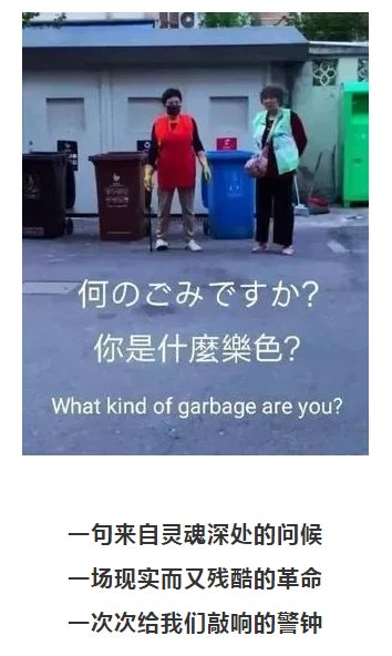 你被“垃圾分类”洗脑了吗?揭秘强制分类背后的惊天秘密!- 你被“垃圾分类”洗脑了吗?揭秘强制分类背后的惊天秘密!-