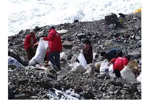 你被“垃圾分类”洗脑了吗?揭秘强制分类背后的惊天秘密!- 你被“垃圾分类”洗脑了吗?揭秘强制分类背后的惊天秘密!-