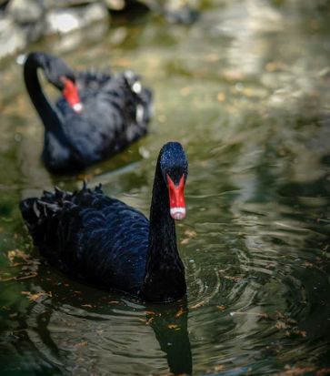 被评为“上海名牌”产品,这家企业究竟为民族阀门工业尽了多少力量?- 被评为“上海名牌”产品,这家企业究竟为民族阀门工业尽了多少力量?-