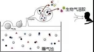 污水厂内的生物气溶胶怎么产生,污水从业人员如何做好防护?- 污水厂内的生物气溶胶怎么产生,污水从业人员如何做好防护?-