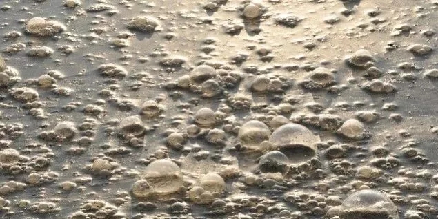 污水厂内的生物气溶胶怎么产生,污水从业人员如何做好防护?- 污水厂内的生物气溶胶怎么产生,污水从业人员如何做好防护?-