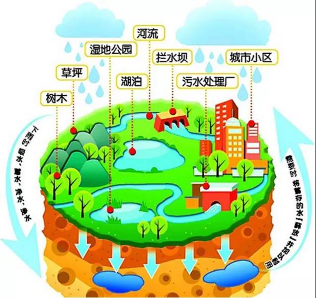 该拿城市内涝这只“洪水猛兽”怎么办?- 该拿城市内涝这只“洪水猛兽”怎么办?-