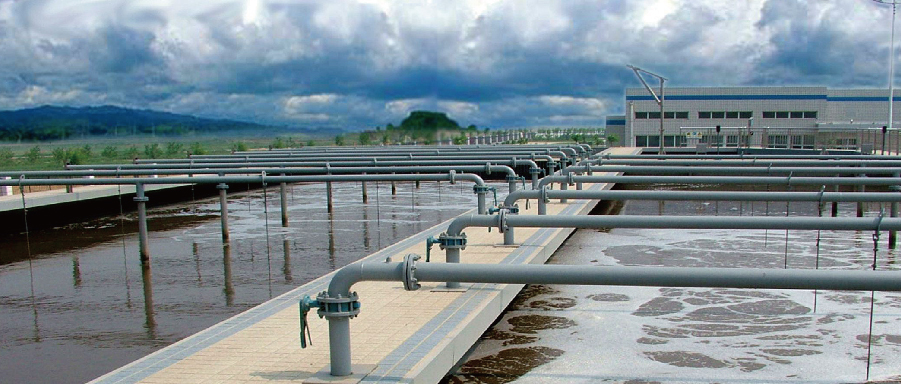 ˮǣͷԤбͺؾüɳ߹ҵˮ̵ĸĿ