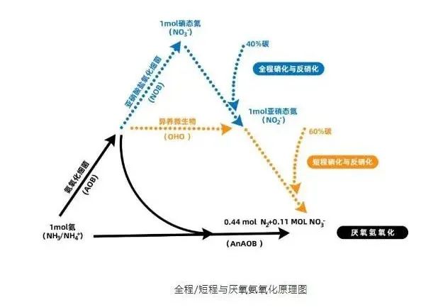 面对低浓度氨氮工业废水束手无策?这几种方法可以解决- 面对低浓度氨氮工业废水束手无策?这几种方法可以解决-